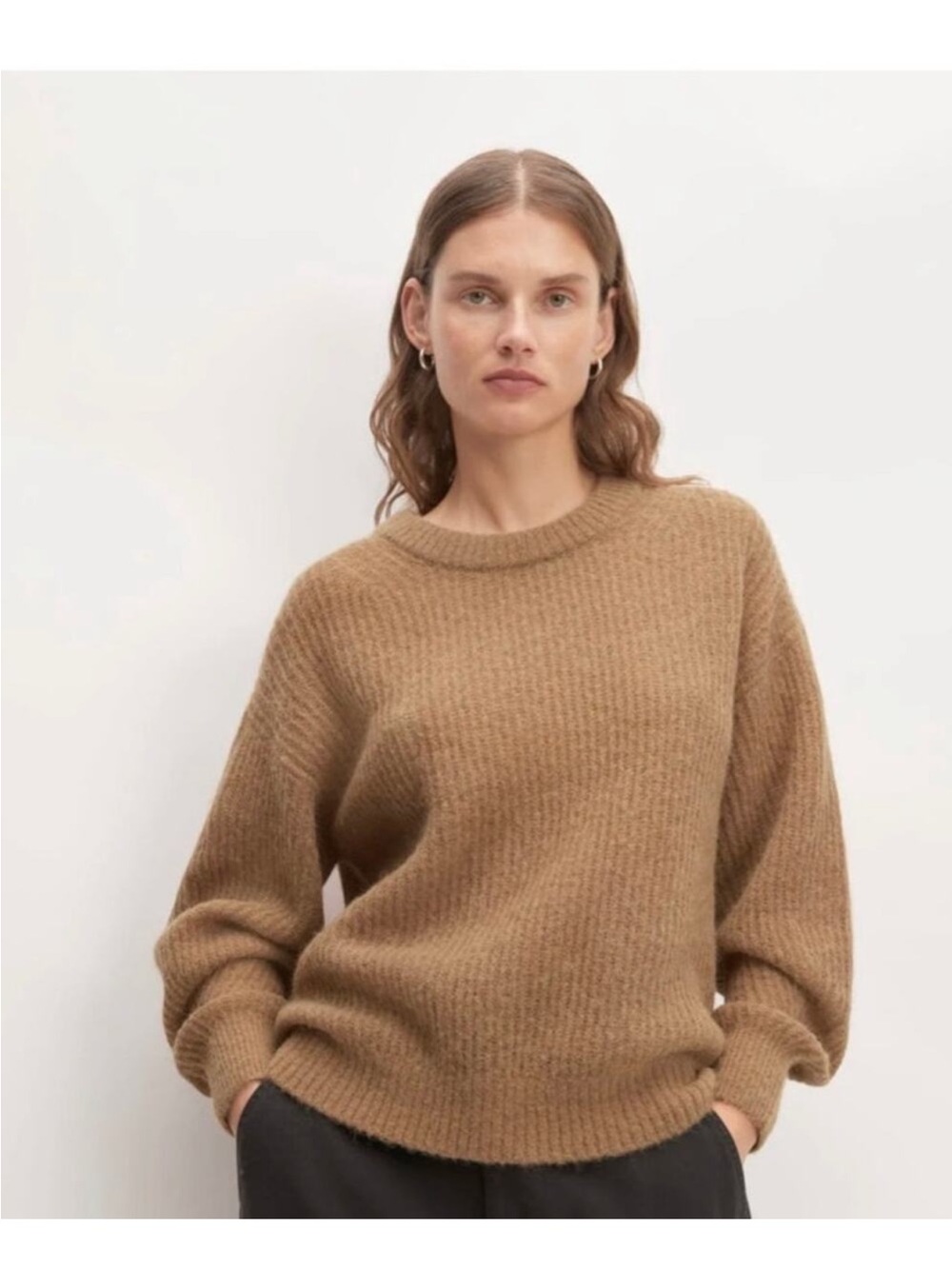 Everlane Cozy Crewneck Sweater in Camel alpaca